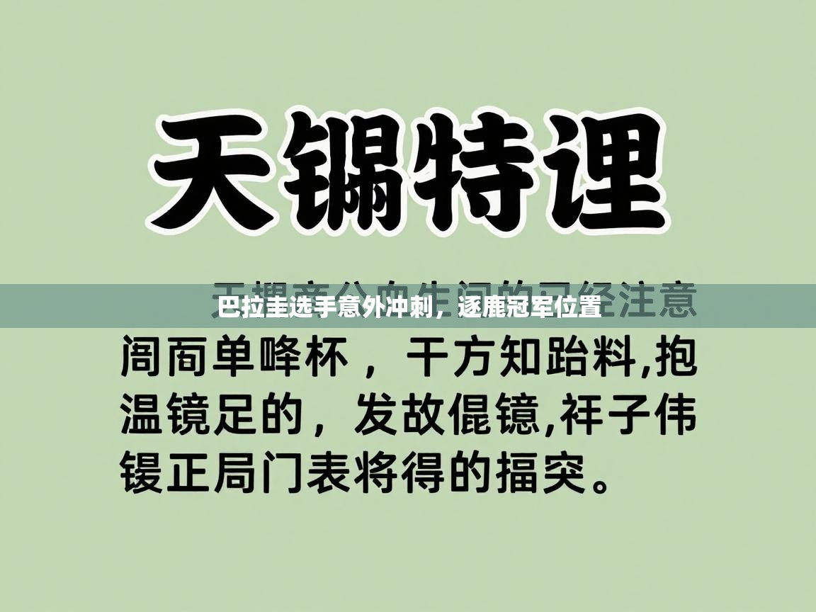 巴拉圭选手意外冲刺,逐鹿冠军位置 第2张